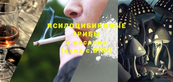 ПСИЛОЦИБИНОВЫЕ ГРИБЫ Белокуриха
