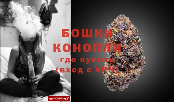 ПСИЛОЦИБИНОВЫЕ ГРИБЫ Белокуриха