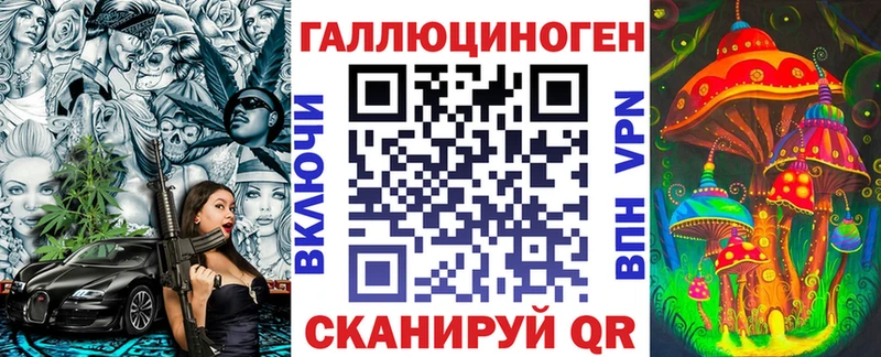 Псилоцибиновые грибы Psilocybe  Гатчина 